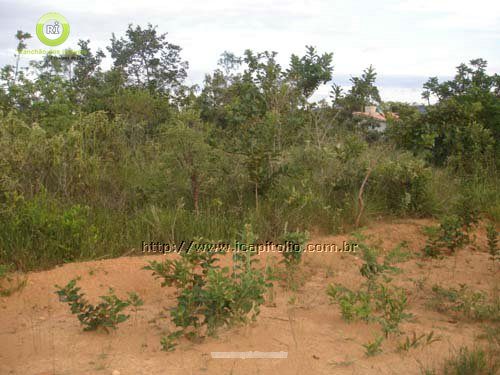 Lote en Venta en Ponta do Sol - Foto 16